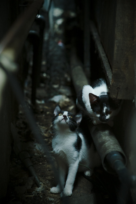 kaiyun.com-马赛新援表现抢眼，成为队内最具攻击威胁的球员，马赛队史最佳阵容