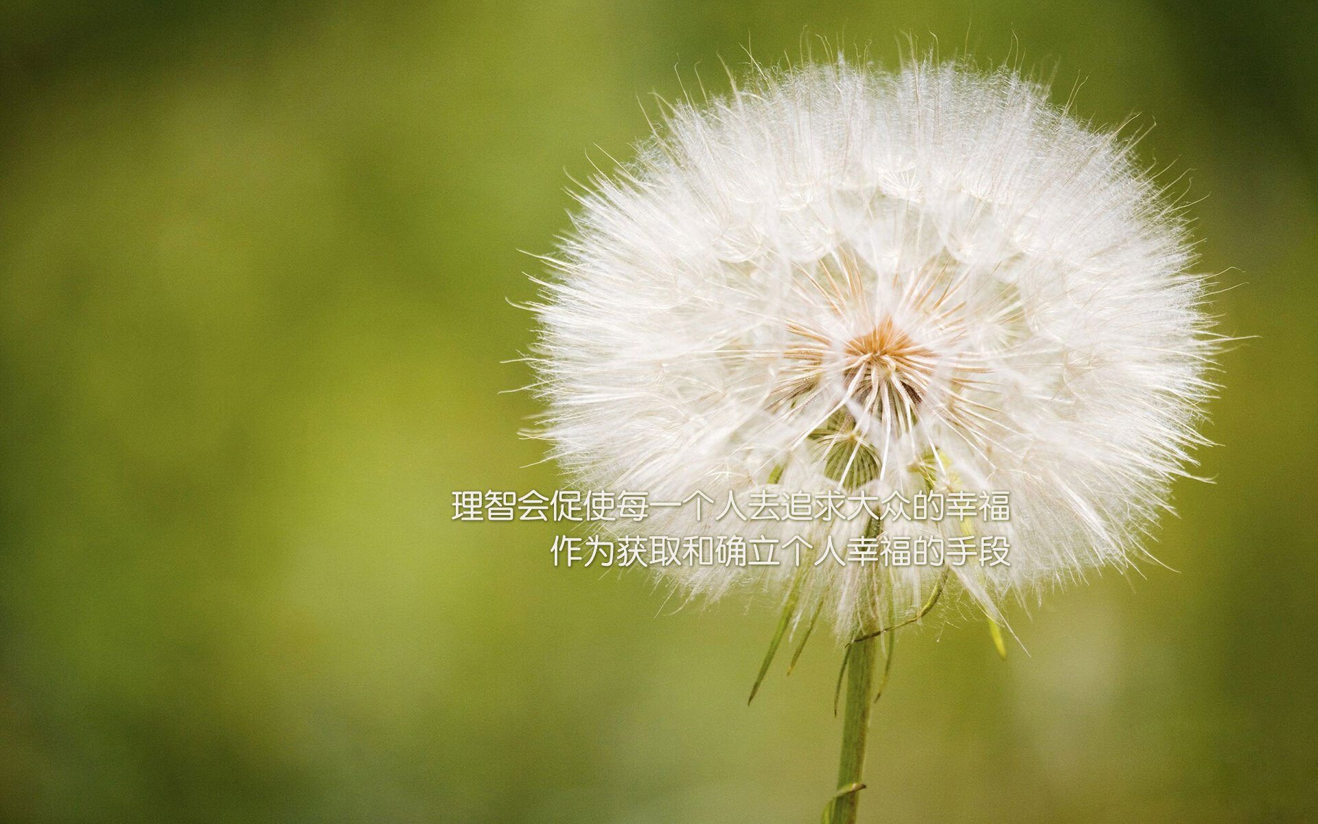 开云网页版登录入口-全场网球八强战对阵图正式揭晓，网球全场型打法