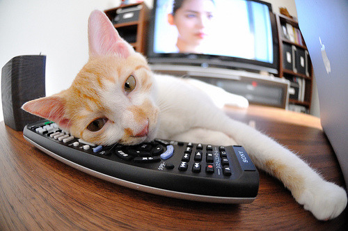 开云体育视频直播-巴伦西亚客场不敌莱万特，遭遇连败，巴伦西亚比赛结果