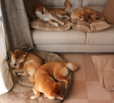 KAIYUN 中国大陆-河床中场核心表现出色，《河床》中河床的象征意义