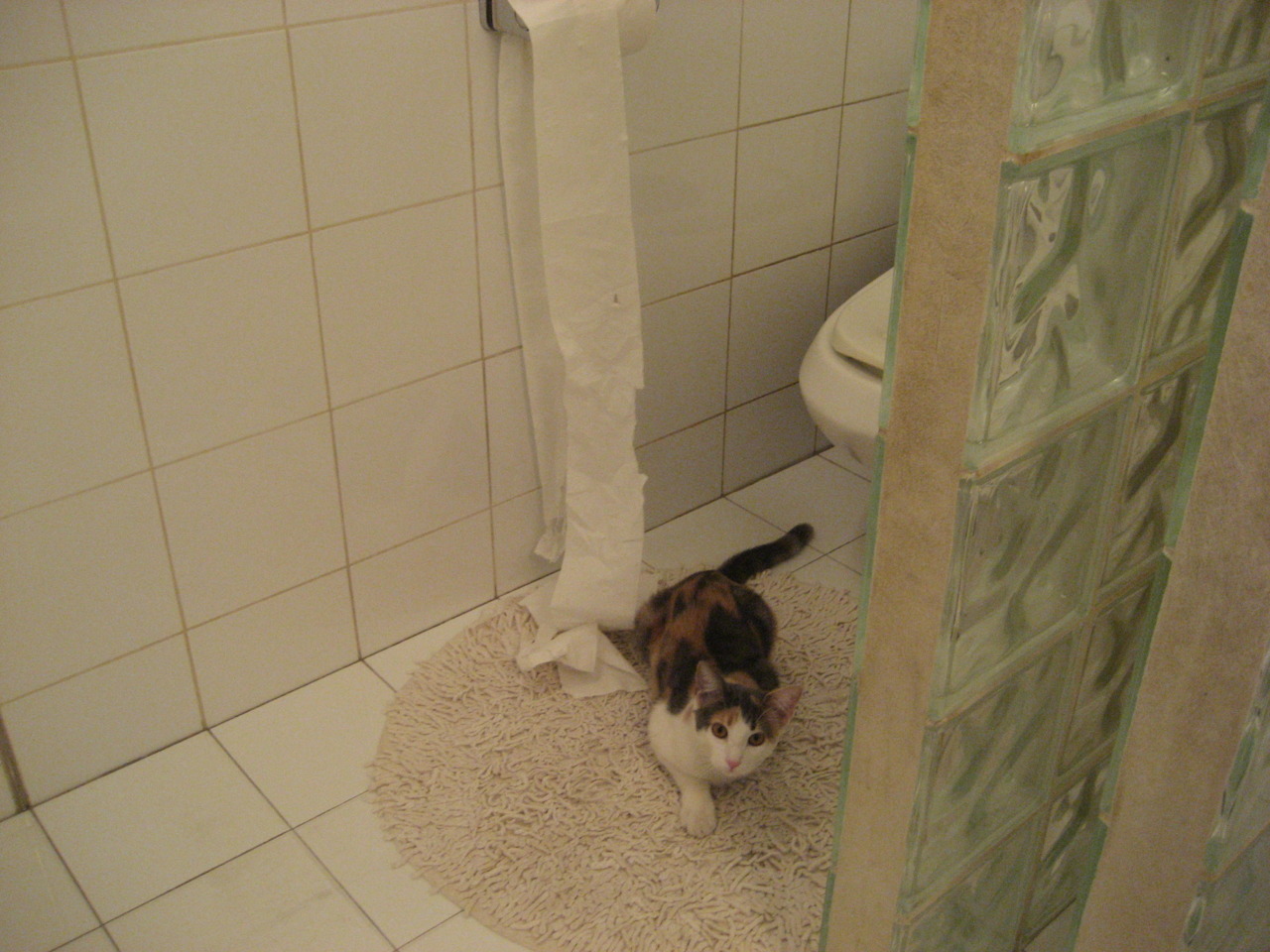 开云官网-石油人防守压迫力加强，石油人防守压迫力加强