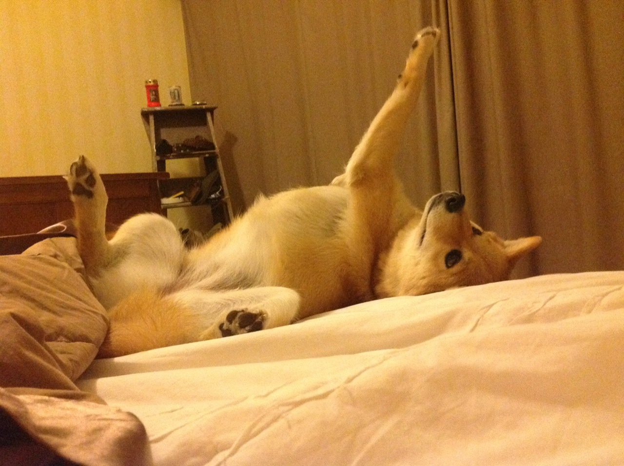 开云网站-荷兰苦战乌克兰,欧洲杯强强对话引发热议