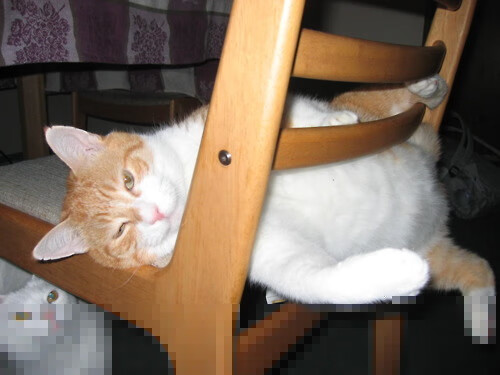 开云体育在线赛事直播-鲁能获胜无法阻挡,辽足再遭灭顶之灾跌至倒数,鲁能能否夺足协杯冠军