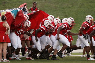 KAIYUNAPP-世界青少年星际滑板赛在上海火热举行,中国青少年滑板比赛视频