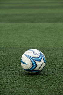 kaiyun官方入口登录-校园体育设施资源共享机制构建与优化,高校体育场馆资源共享模式