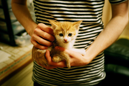 开云下载-“高新区全民健身馆：短柄墙球，不只是一场比赛，而是脑力与体力的双重考验！”