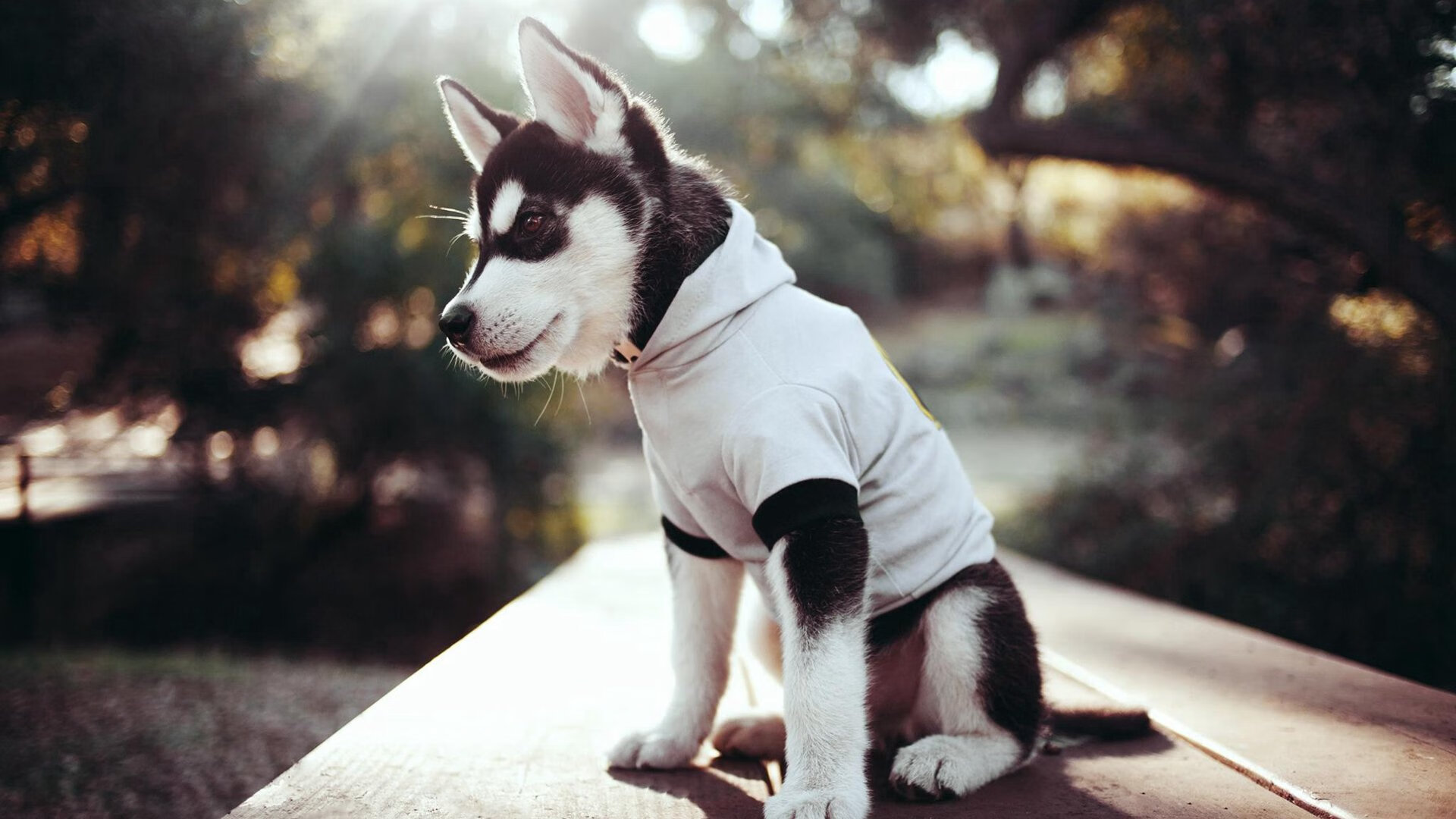 选手情绪管理能力成为胜负关键之一,选手情绪管理能力成为胜负关键之一吗