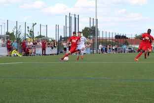 开云官网在线-特色足球运动场设计结合智慧城市理念,实现多功能利用,趣味足球场设计