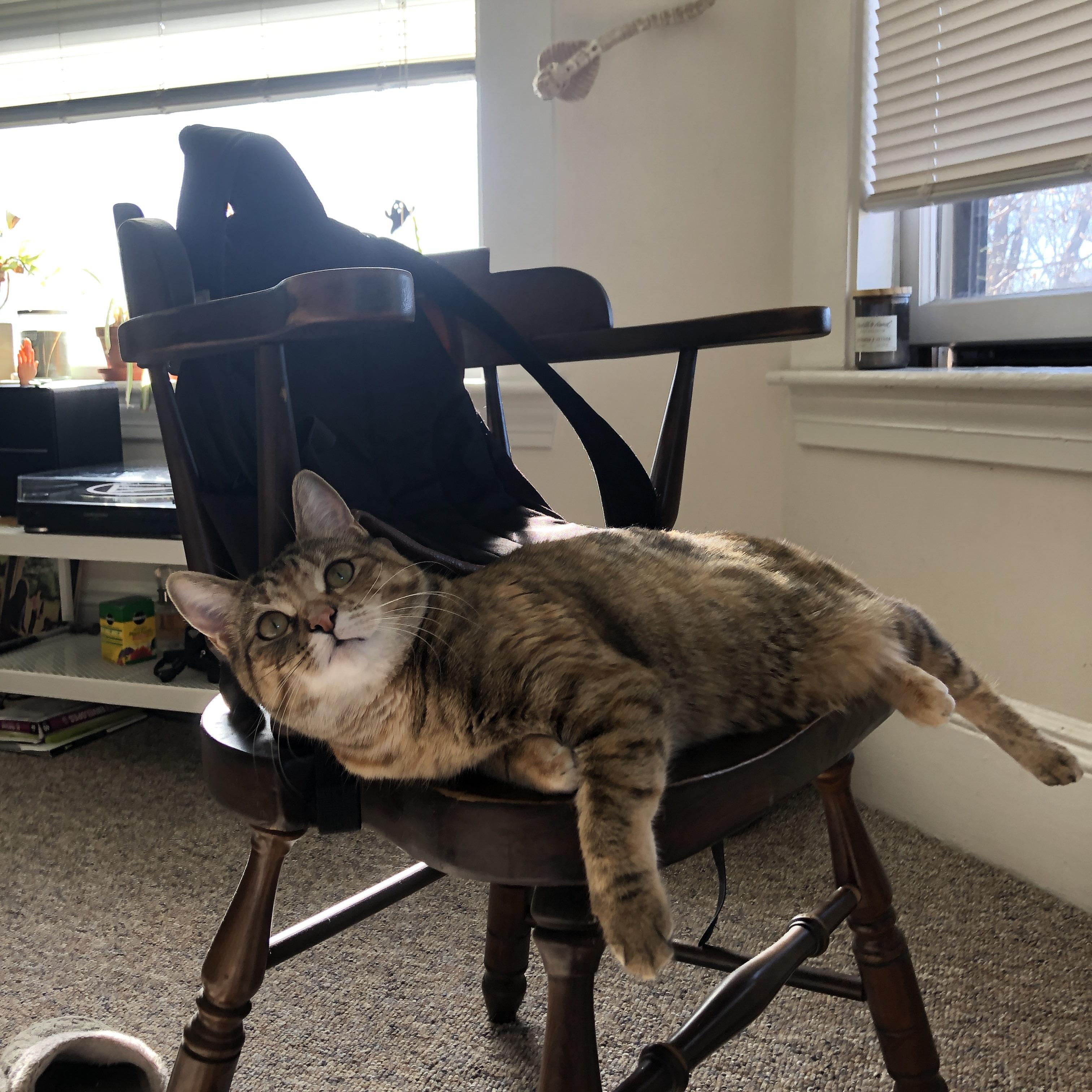 开云全站下载-篮球暑期公开赛吸引众多年轻球员参与,2021暑期篮球