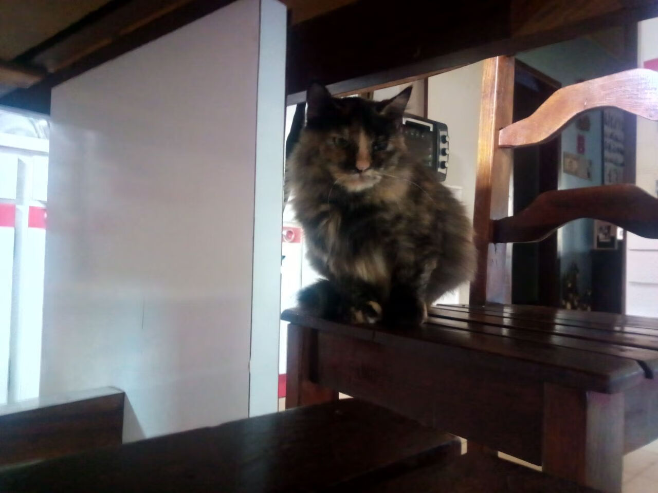 开云电竞登录入口-雷霆助教表示球员间竞争激烈良性循环,球队雷霆